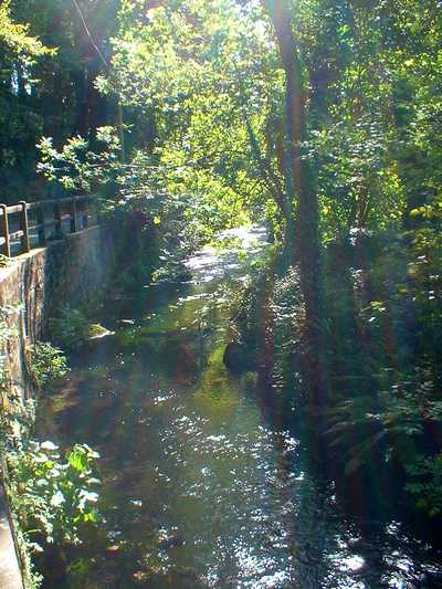 Au bord de l'eau